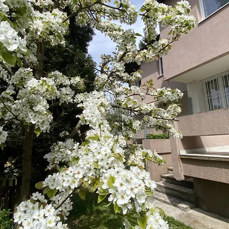 بيت للعطل Ilidza Rose سراييفو